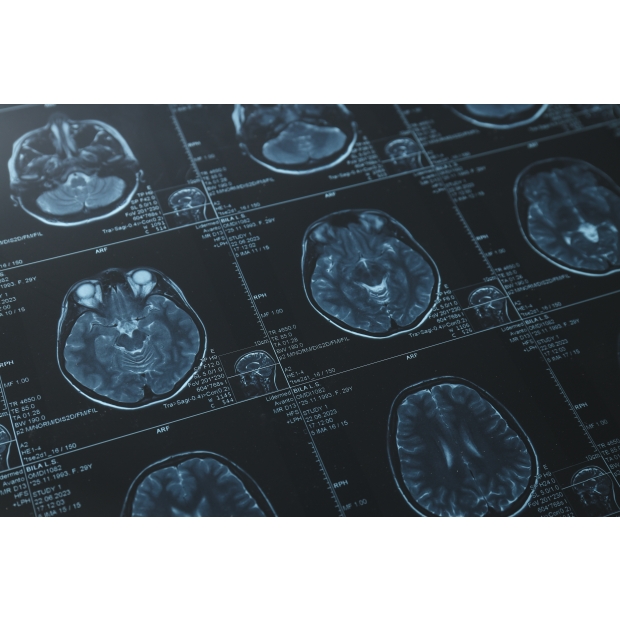 209458986_l_normal_none.jpg 209458986_l_normal_none.jpg